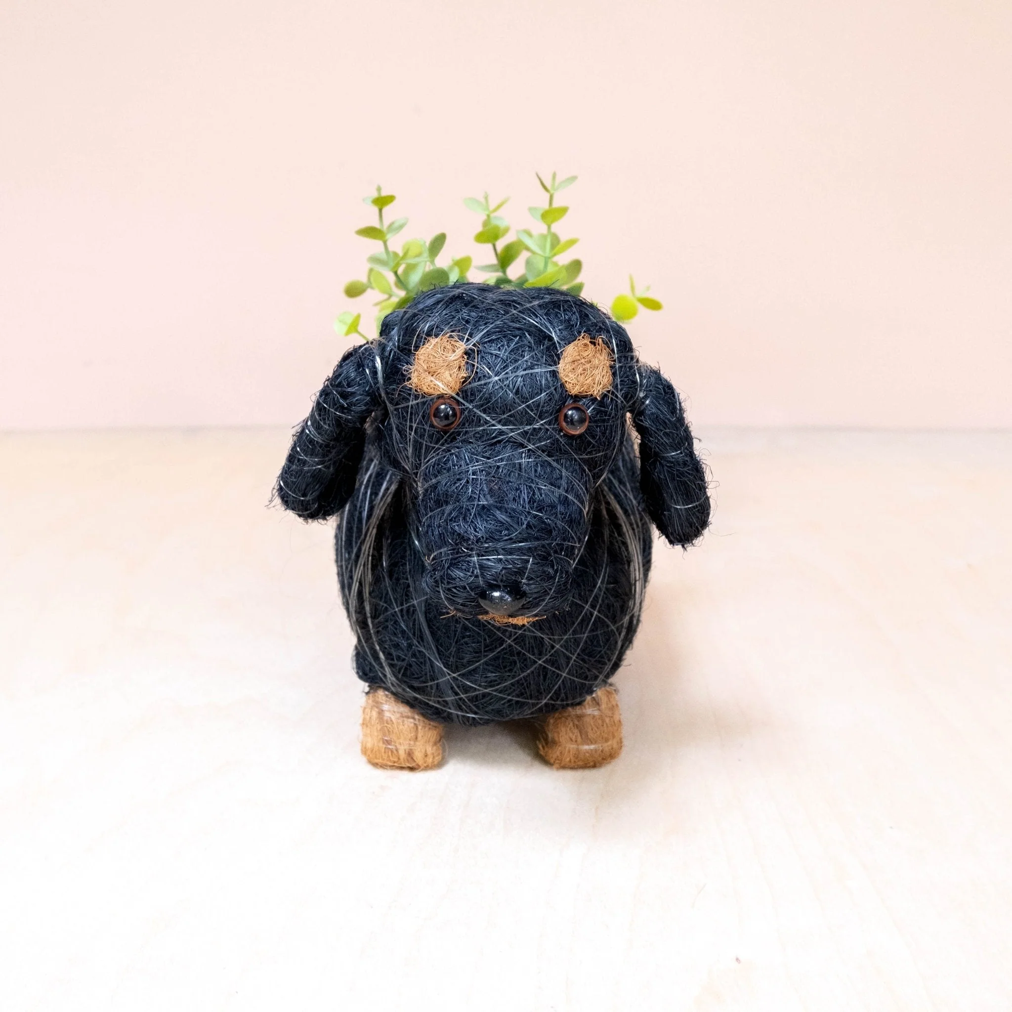Baby Dachshund - Coco Coir Pots