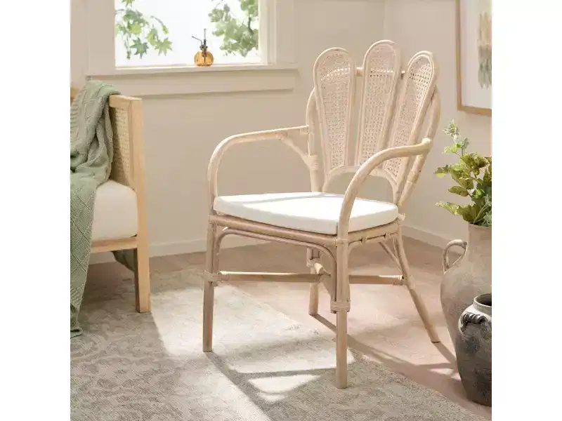 Maki Arm Chair - ACH4904 - White Washed/Ivory - Safavieh