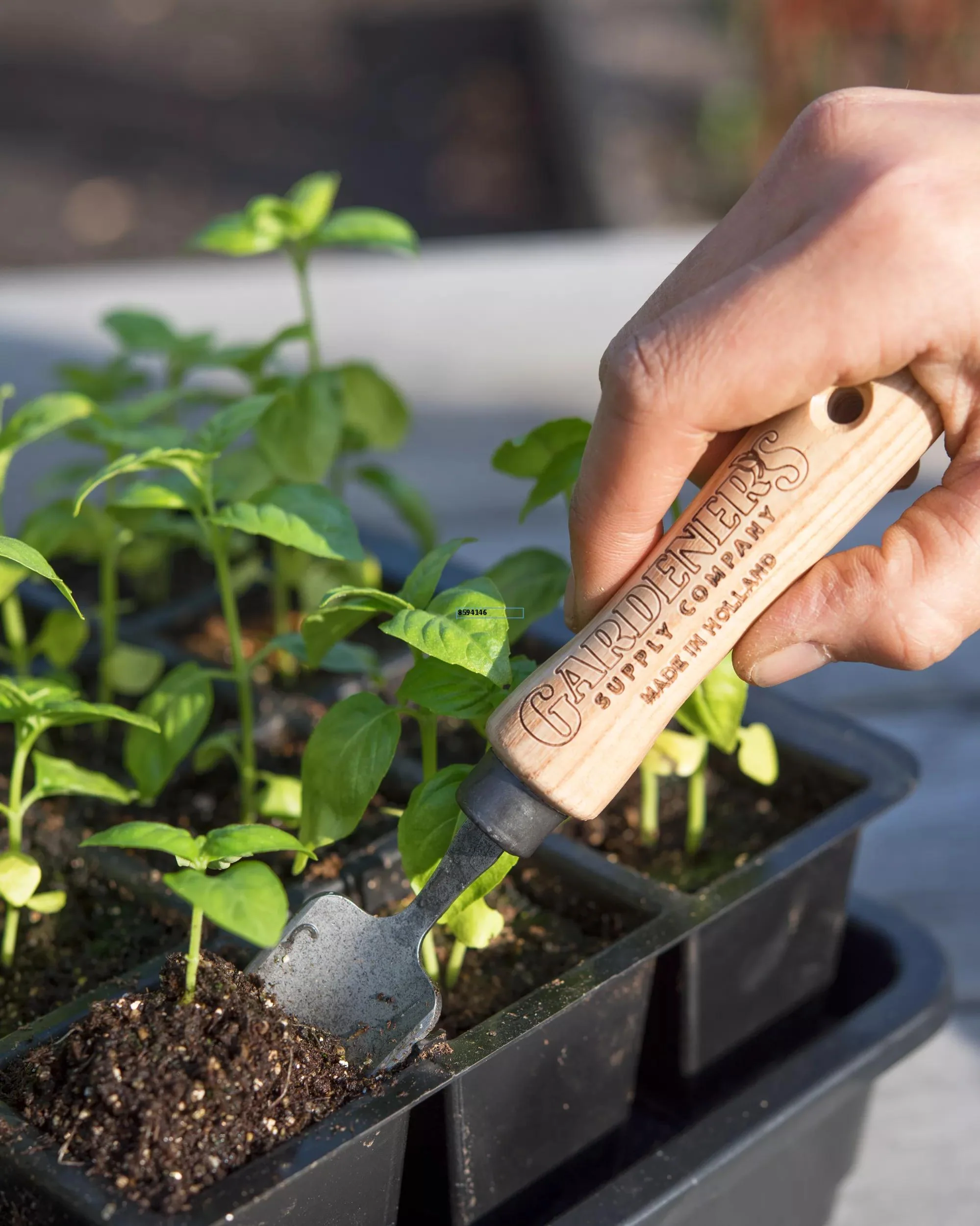 Mini Trowel for Seedlings Bonsai Houseplants Small Garden Hand Tool