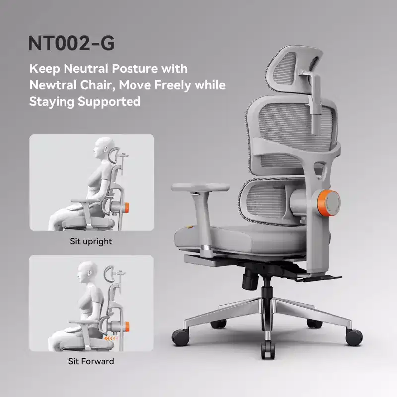 Ergonomic Office Chair with Footrest - 4D Armrest Recliner Chair - NT002+LAPD-GRAY