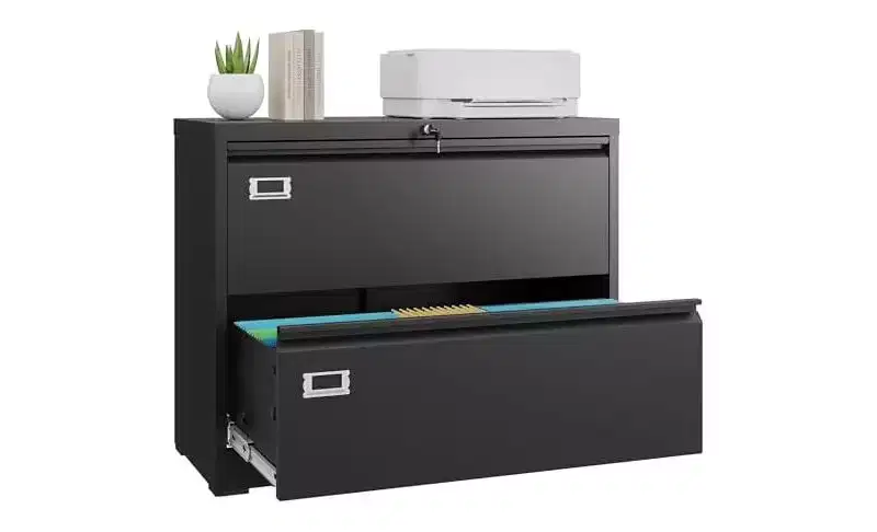 DEXYLLO Metal 2 Drawer Lateral File Cabinet, Wide Filing Cabinet with Lock for Home Office School