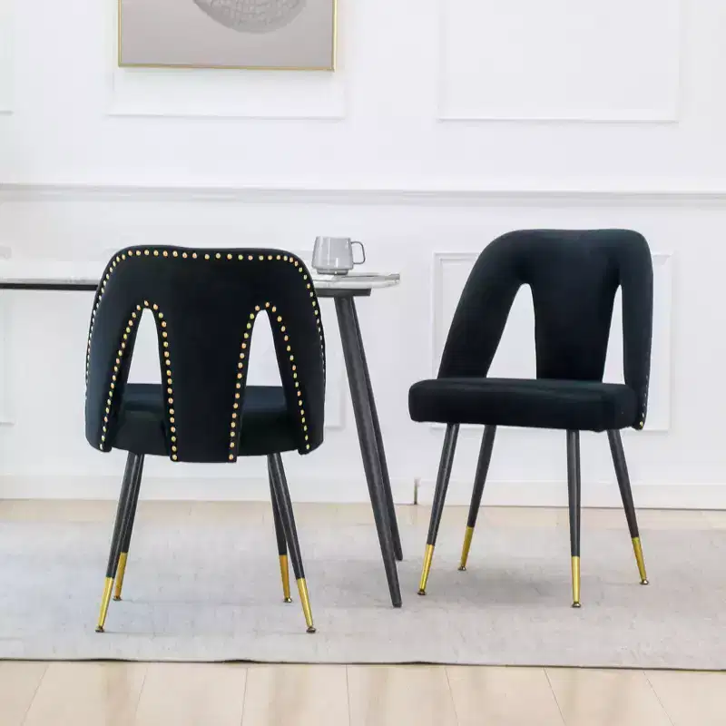 TUYOHW Contemporary Dining Chairs Set of 2,Sleek Dining Room Side Chairs,Chic Accent Chairs with Nailhead Trim Back for Kitchen,Home Decor