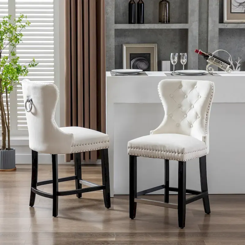 Carter 24 Wingback Tufted Nailhead Counter Stool (Set of 2)