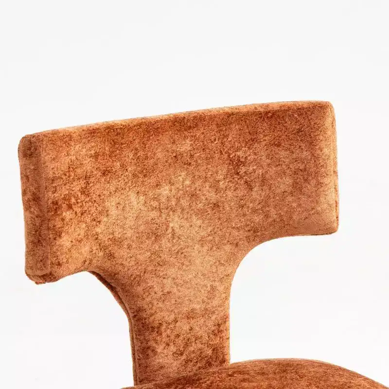 Set of 2 Chenille Upholstered Dining Chairs with Hardwood Frame & Brass Nailhead Trim, 300 lbs