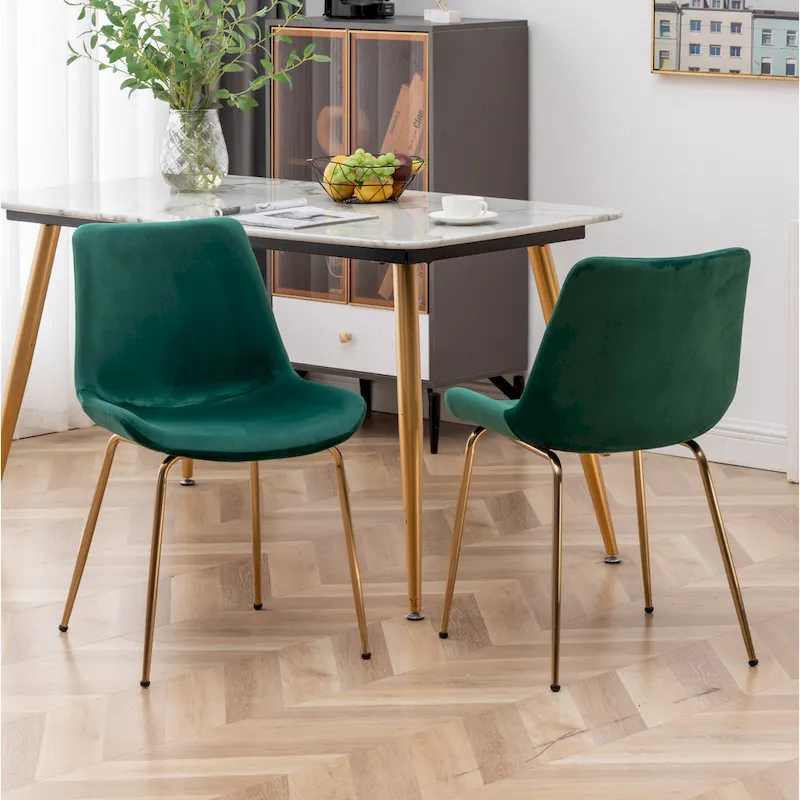 Roundhill Furniture Aufurr Modern Velvet Dining Chair (Set of 2)