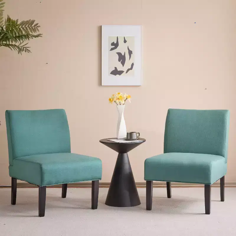 Set of 2 Kassi Accent Chair - Christopher Knight Home