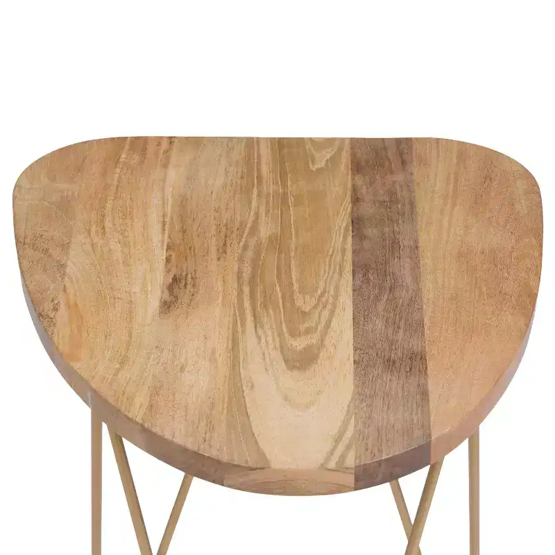 Tillman Metal and Wood Accent Table