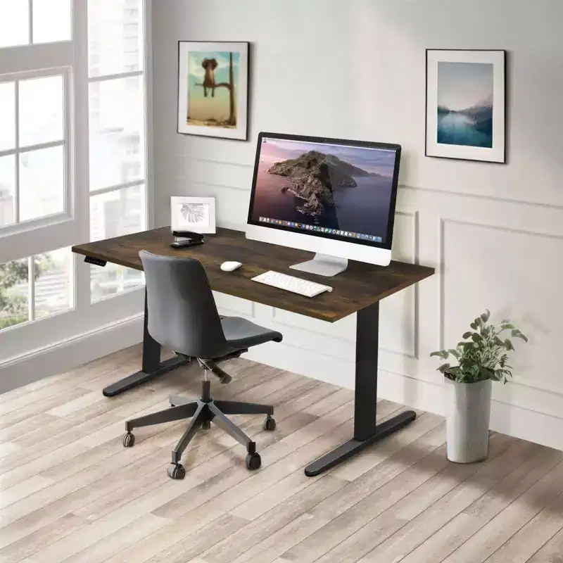 Dual Motor Electric Standing Desk with 55 Tabletop, Oak & Black