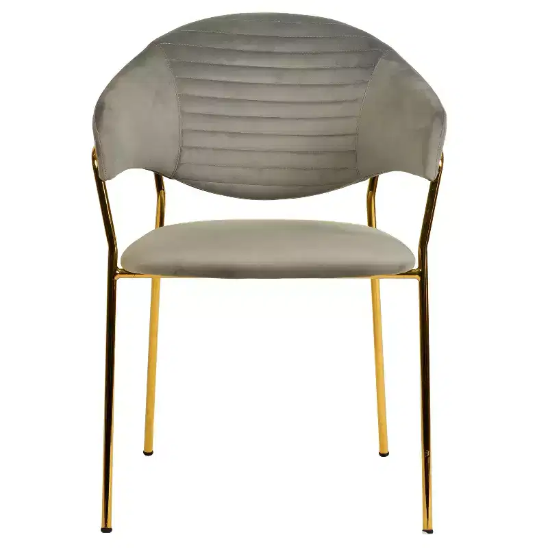 Upholstered Dining Chair Set of 2 Velvet Camelback Stainless Steel Legs 330 lbs