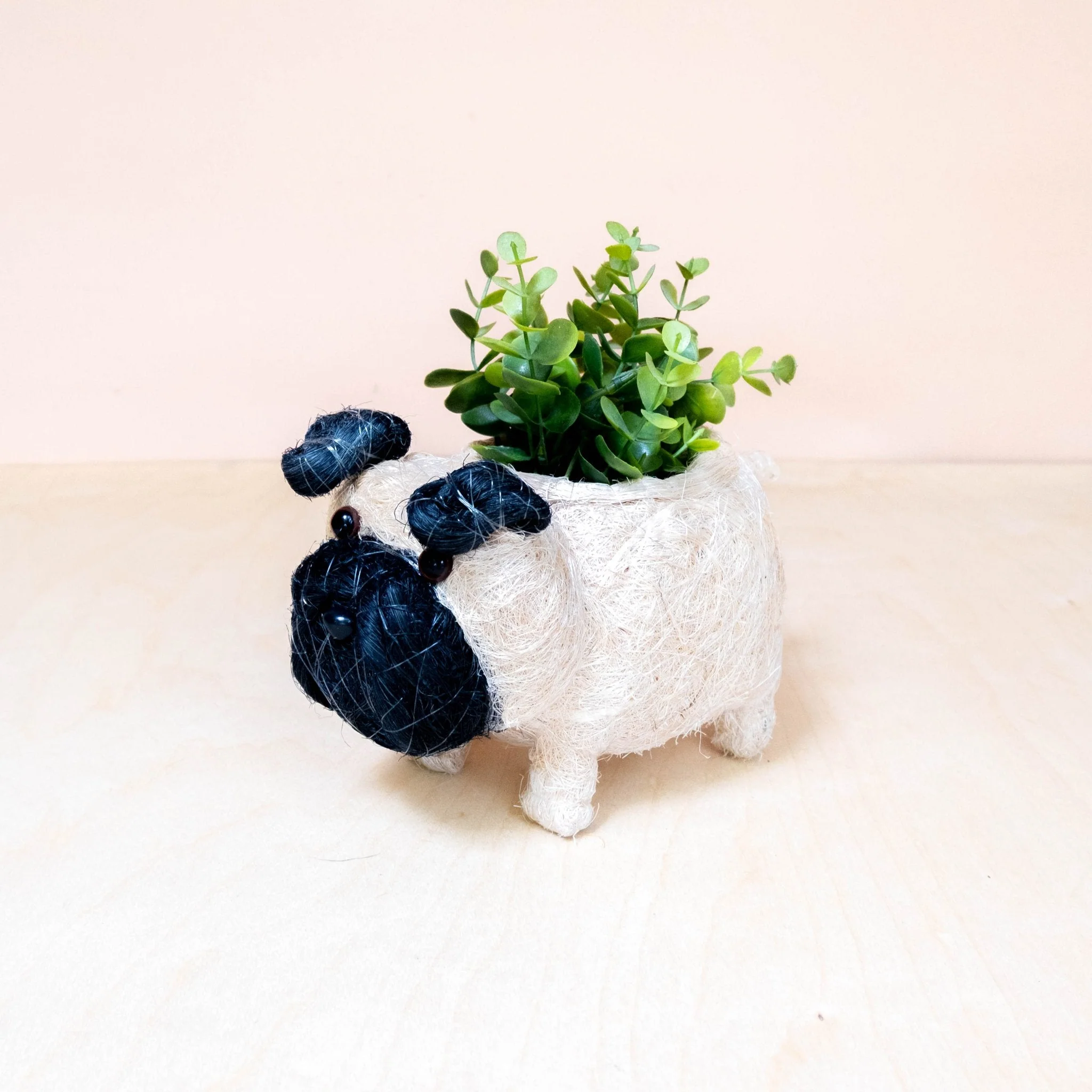 Baby Pug Planter - Coco Coir Pots