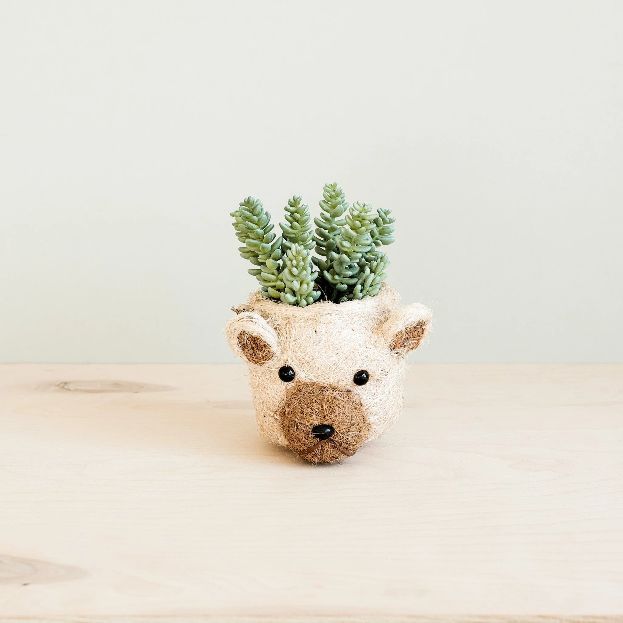 Bear Planter - Animal Head Planters