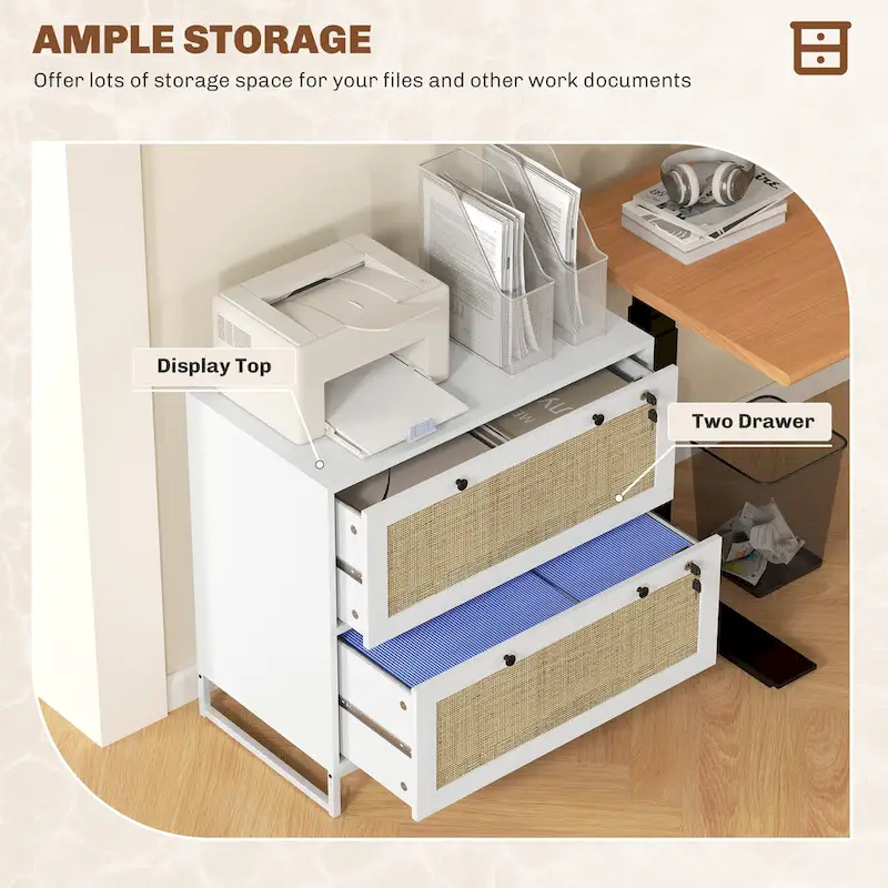 2 Drawer File Cabinet with Lock, Vertical Filing Cabinet with Keys