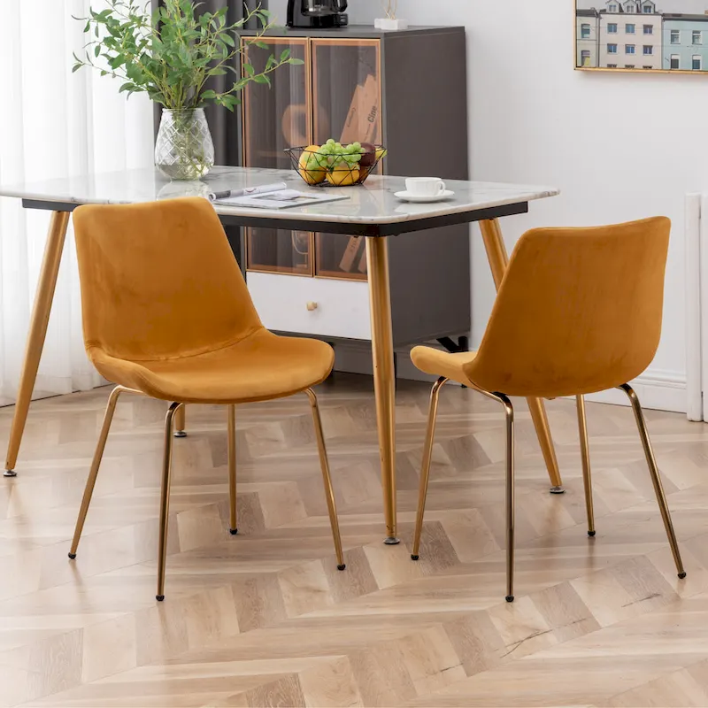 Roundhill Furniture Aufurr Modern Velvet Dining Chair (Set of 2)