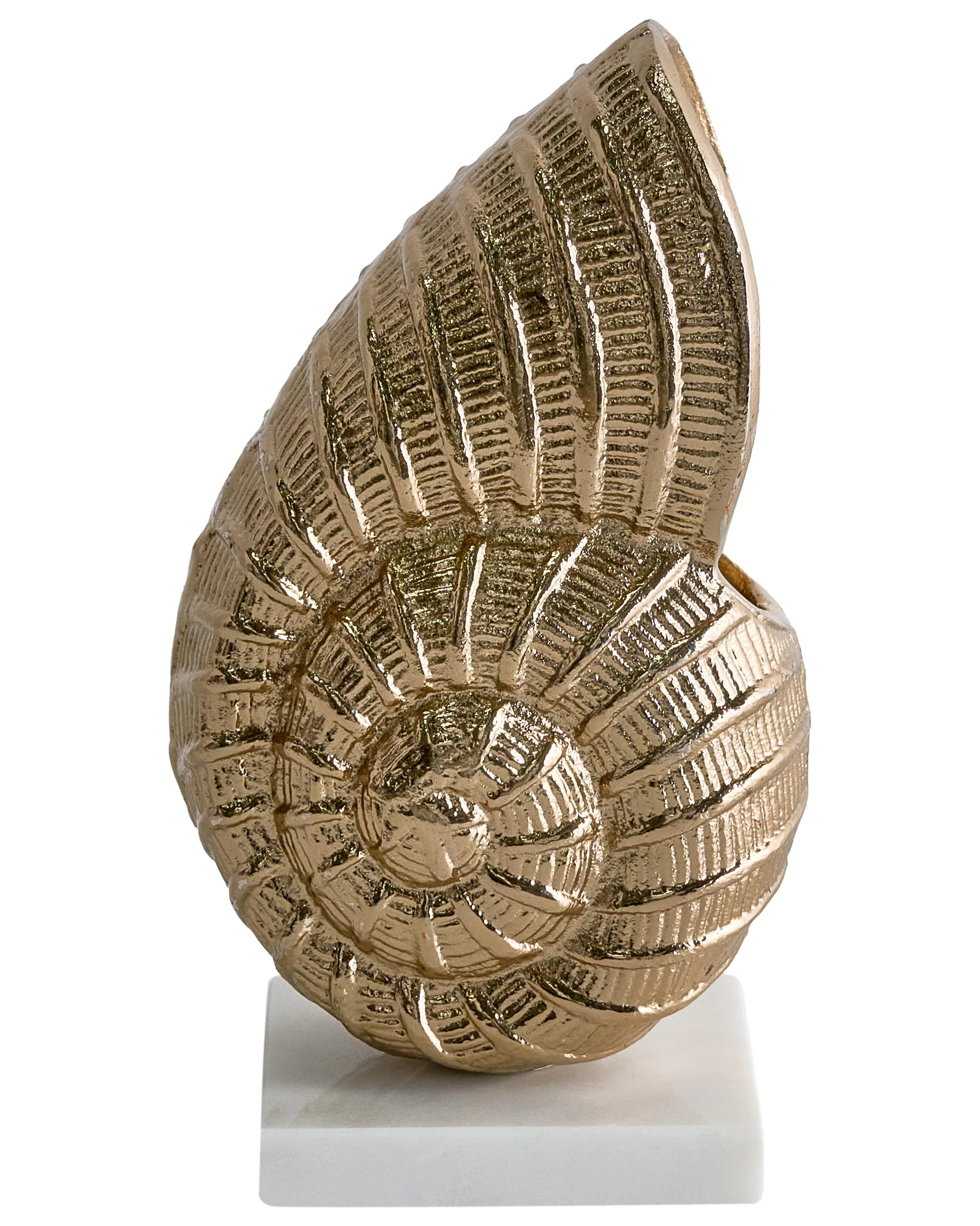 Accessorio decorativo Conchiglia Metallo Oro