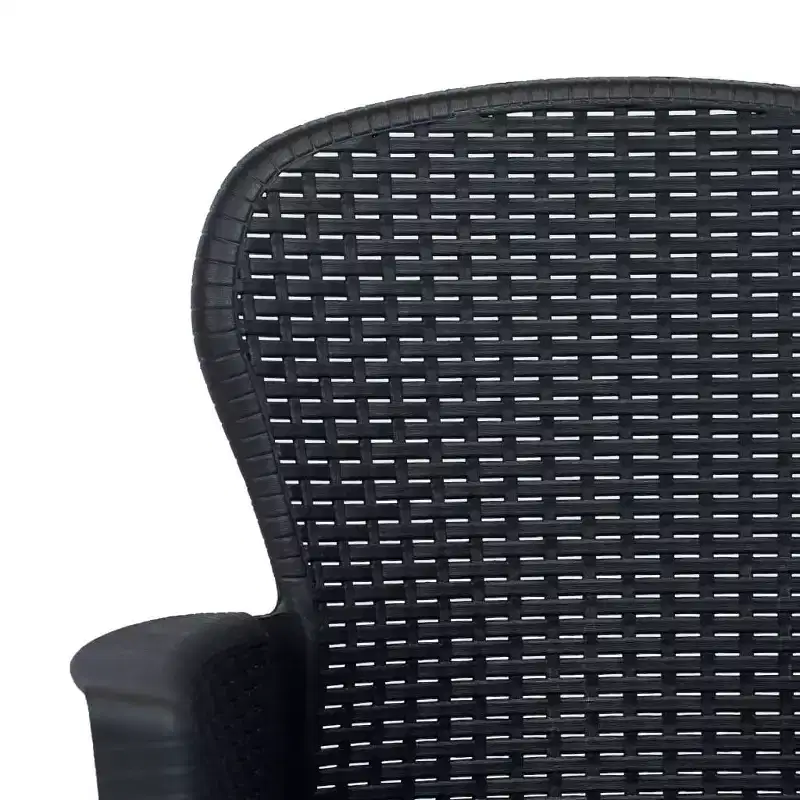 vidaXL Patio Chairs 2 Pcs Dining Single Chair with Cushion Plastic Rattan Look