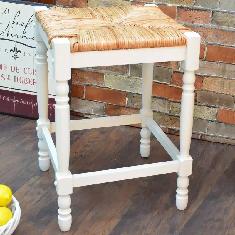 Carolina Living 24 Turner Counter Height Barstool