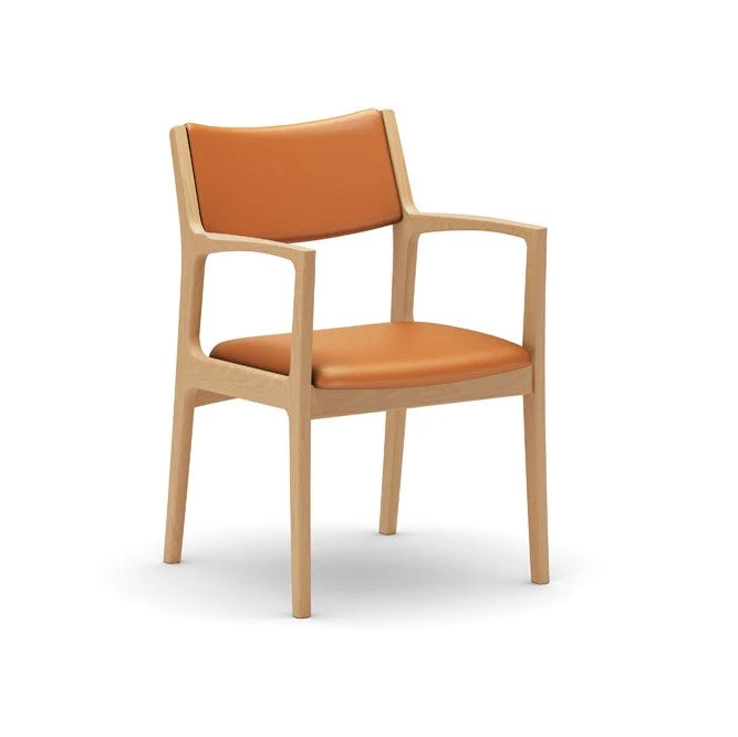 Dining Chair(Multiple colors are available for you to choose from.)