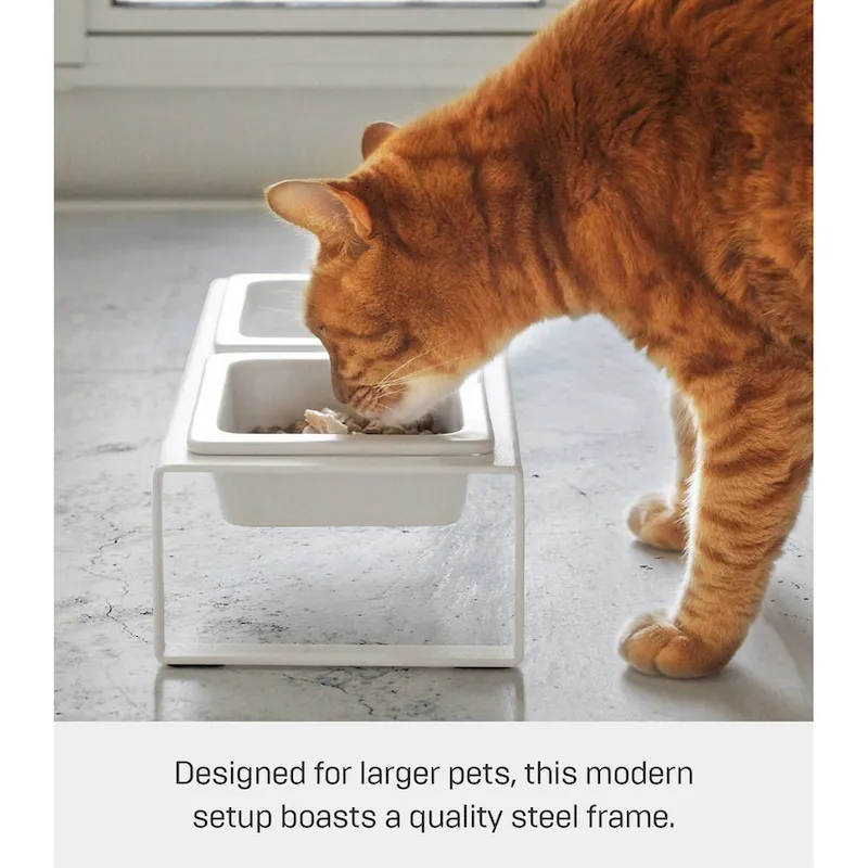 Yamazaki Home Pet Food Bowl - Two Styles, Steel and Ceramic, Tall, 1.25 cups, 300 milliliters per bowl