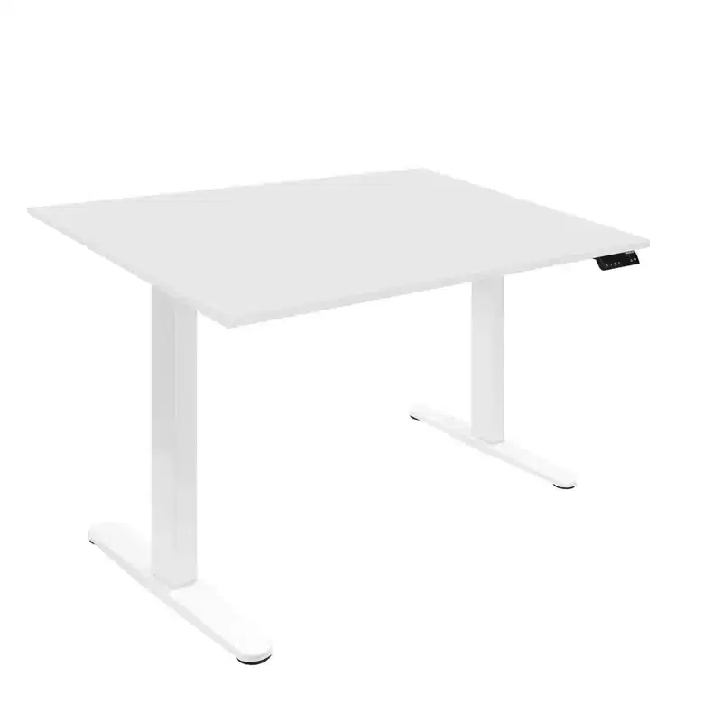 Dual Motor Electric Standing Desk with 48