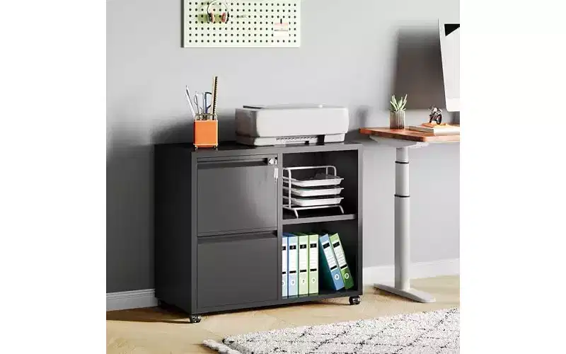 DEXYLLO Metal Lateral File Cabinet with Lock, 2-Drawer Rolling Printer Stand with Shelf, Mobile Storage Cabinet for Home Office