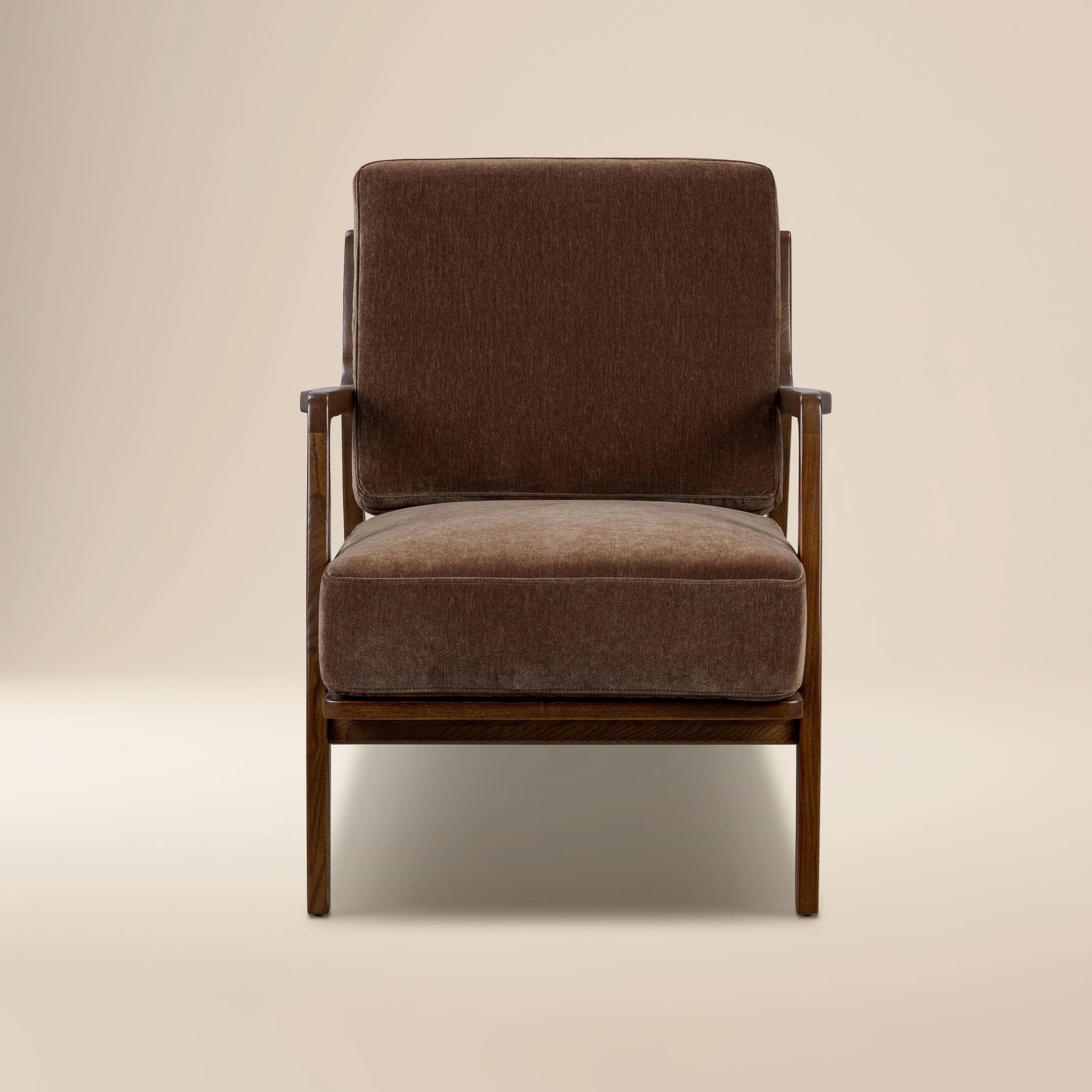 Modern Bronzer Brown Lounge Chair with Kiln-Dried Wood Frame