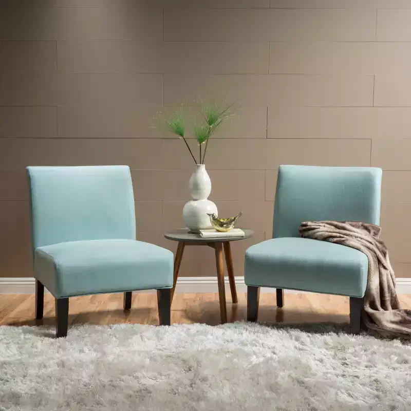Set of 2 Kassi Accent Chair - Christopher Knight Home
